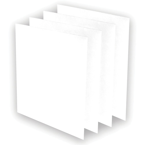AeraMax&reg; Pro AM3 or AM4 Pre-Filters, 13.75" W x 0.13" D x 14.38" H Groupe Belzile Dickner