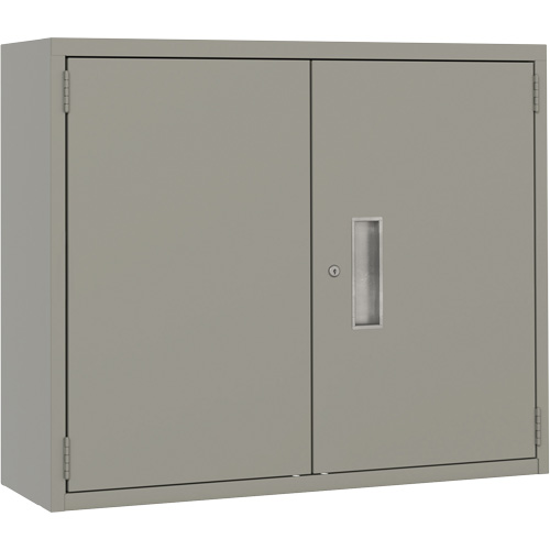Armoire murale, Acier, 2 Tablettes, 30" h x 36" la x 12" P, Gris Groupe Belzile Dickner