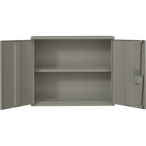 Armoire murale, Acier, 2 Tablettes, 30" h x 36" la x 12" P, Gris Groupe Belzile Dickner