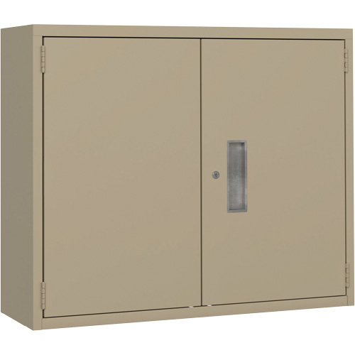 Armoire murale, Acier, 2 Tablettes, 30" h x 36" la x 12" P, Beige Groupe Belzile Dickner