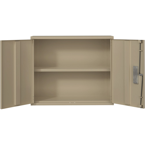 Armoire murale, Acier, 2 Tablettes, 30" h x 36" la x 12" P, Beige Groupe Belzile Dickner