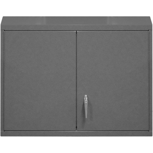 Wall-Mounted Cabinet, 27" H x 29-7/8" W x 13-11/16" D, 2 Shelves, Steel, Grey Groupe Belzile Dickner