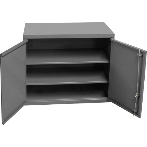 Wall-Mounted Cabinet, 27" H x 13-11/16" W x 35-7/8" D, 2 Shelves, Steel, Grey Groupe Belzile Dickner