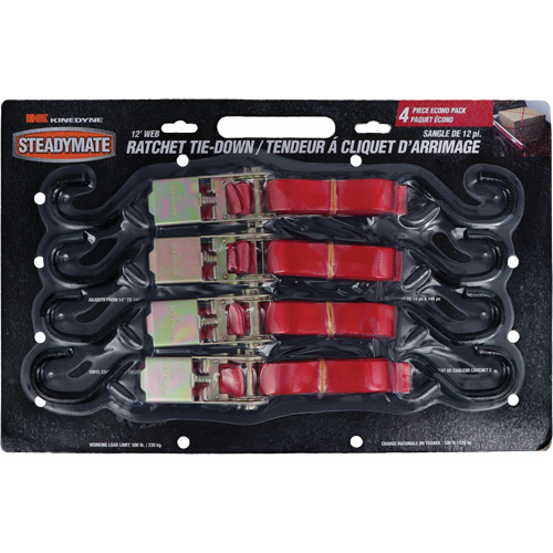 Ratchet Utility Straps, S-Hook, 1" W x 12' L, 500 lbs. (230 kg) Working Load Limit Groupe Belzile Dickner