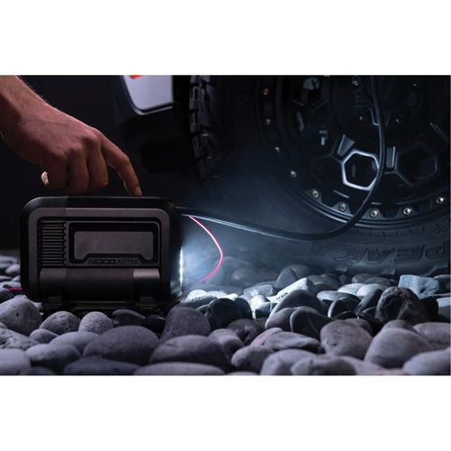 Compresseur d'air portable de 10 A Groupe Belzile Dickner