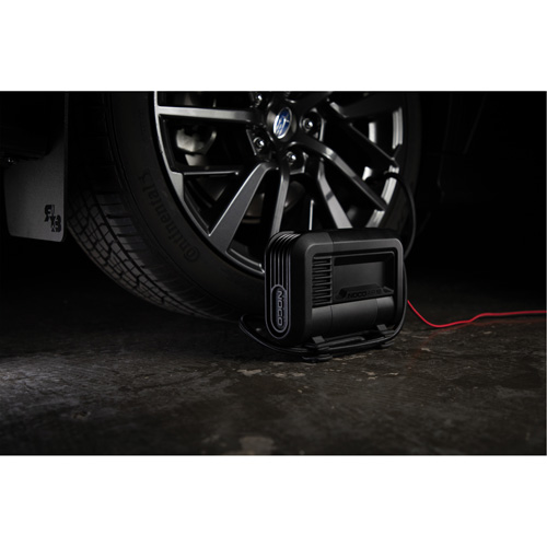 Compresseur d'air portable de 10 A Groupe Belzile Dickner