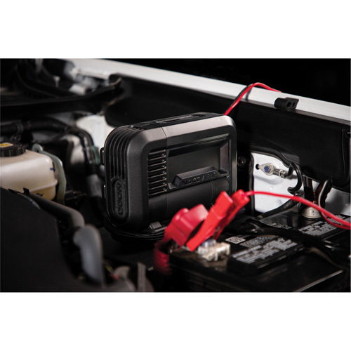 Compresseur d'air portable de 20 A Groupe Belzile Dickner