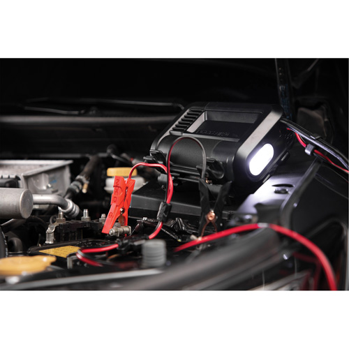 Compresseur d'air portable de 20 A Groupe Belzile Dickner