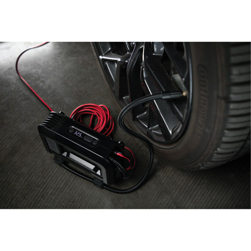 Compresseur d'air portable de 20 A Groupe Belzile Dickner