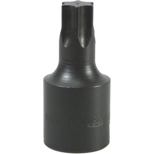Bit Socket, Torx, T-60, 1/2" Drive Groupe Belzile Dickner