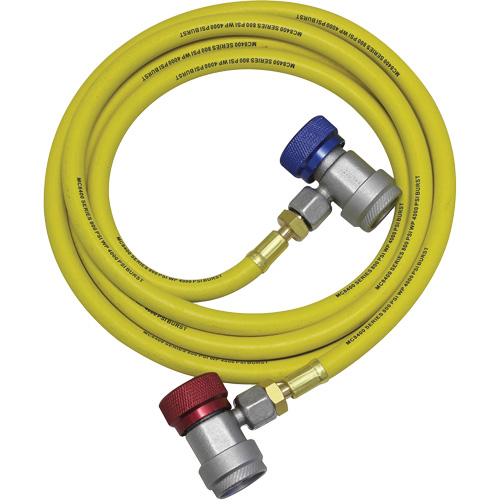Ensemble flexible de rinçage pour syst&egrave;me de climatisation R134a Groupe Belzile Dickner