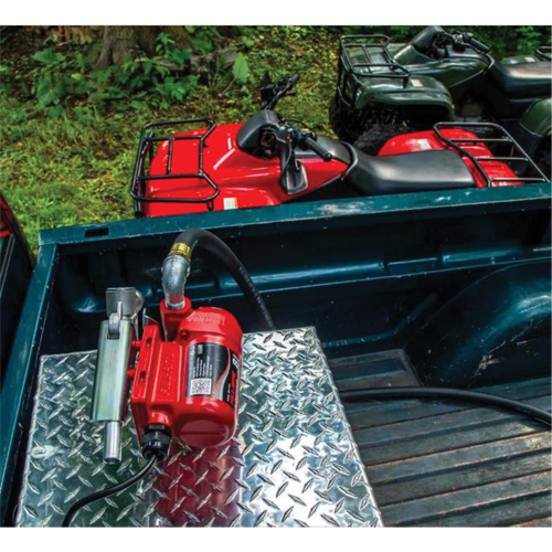 Pompe de transfert de carburant 12 V CC avec pistolet Groupe Belzile Dickner