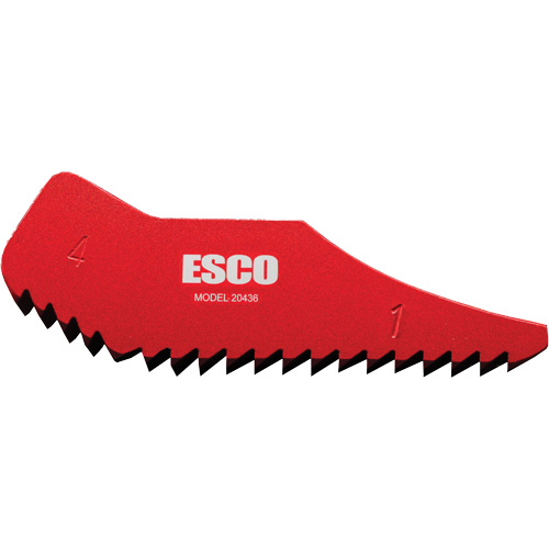 1 & 4 cm MEGABITE Bead Wedge Groupe Belzile Dickner