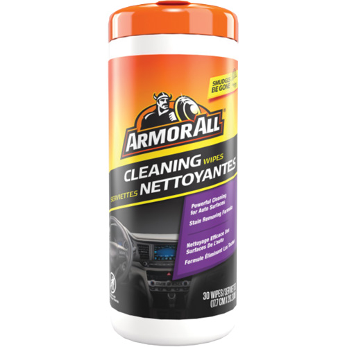 Cleaning Wipes Groupe Belzile Dickner