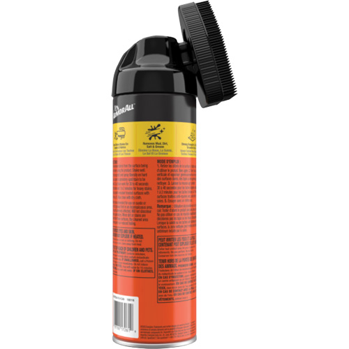 Nettoyant pour tapis et garnitures en tissu Groupe Belzile Dickner