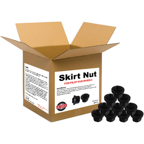 10-Piece Graphite-Coated Skirt Nuts for Pilot Hub Wheels Groupe Belzile Dickner