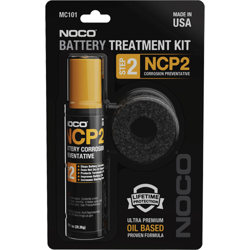 Anti-Corrosion Battery Terminal Treatment Kit Groupe Belzile Dickner