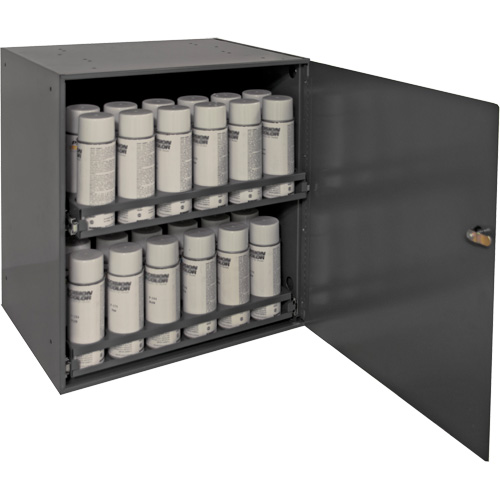Armoire de rangement pour contenants a&eacute;rosol, Acier, 21-7/8" h x 15-15/16" la x 20-5/16" P, Gris Groupe Belzile Dickner
