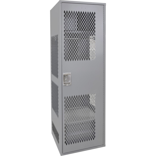 Gear Locker with Door, Steel, 24" W x 24" D x 72" H, Grey Groupe Belzile Dickner