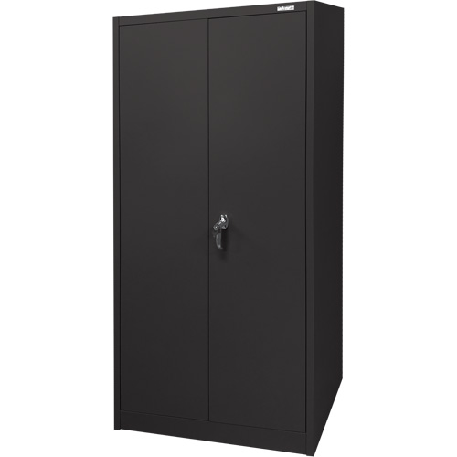 Armoire d'entreposage, Acier, 4 Tablettes, 66" h x 30" la x 15" P, Noir Groupe Belzile Dickner
