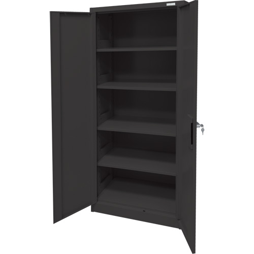 Armoire d'entreposage, Acier, 4 Tablettes, 66" h x 30" la x 15" P, Noir Groupe Belzile Dickner
