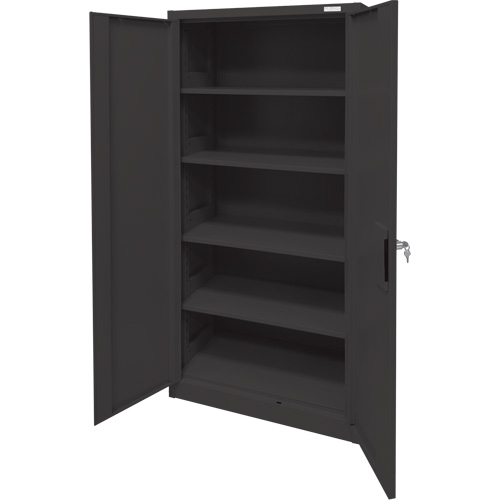 Storage Cabinet, Steel, 4 Shelves, 78" H x 36" W x 24" D, Black Groupe Belzile Dickner
