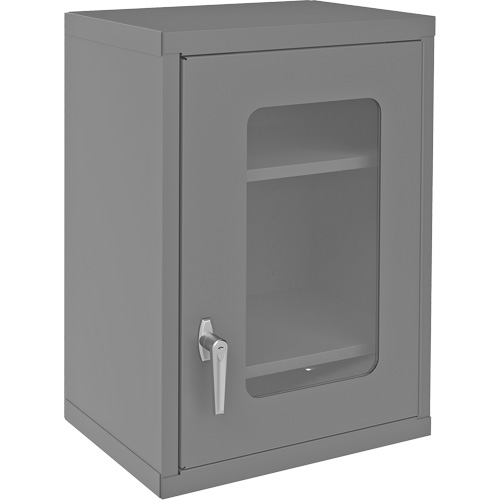 Wall-Mountable Storage Cabinet with Clearview Doors, 26-15/16" H x 18-1/8" W x 13-11/16" D, 2 Shelves, Steel, Grey Groupe Belzile Dickner