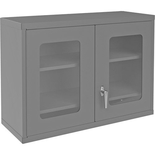 Wall-Mountable Storage Cabinet with Clearview Doors, 26-15/16" H x 35-7/8" W x 13-11/16" D, 2 Shelves, Steel, Grey Groupe Belzile Dickner