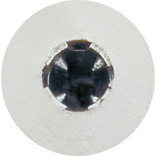 Zip-It&reg; Plasterboard Anchor with Drill Point Groupe Belzile Dickner