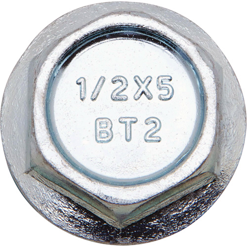 Wedge Bolts, Carbon Steel, 1/2" x 2-1/2" Groupe Belzile Dickner