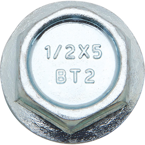 Wedge Bolts, Carbon Steel, 1/2" x 2" Groupe Belzile Dickner