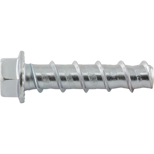 Wedge Bolts, Carbon Steel, 1/2" x 2-1/2" Groupe Belzile Dickner