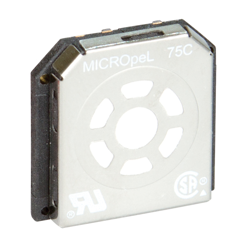 BW Replacement Sensors Groupe Belzile Dickner