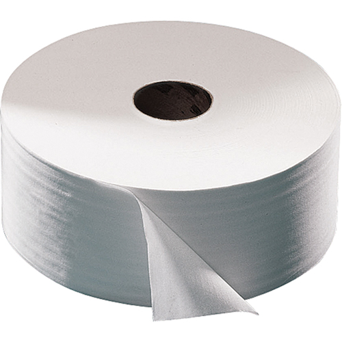 Advanced Toilet Paper, Jumbo Roll, 2 Ply, 751' Length, White Groupe Belzile Dickner