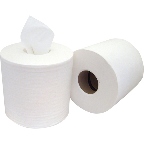 Chiffons &agrave; distribution par le centre Pro Tuff-Job, Sp&eacute;cialis&eacute;, 400' lo x 8" la Groupe Belzile Dickner