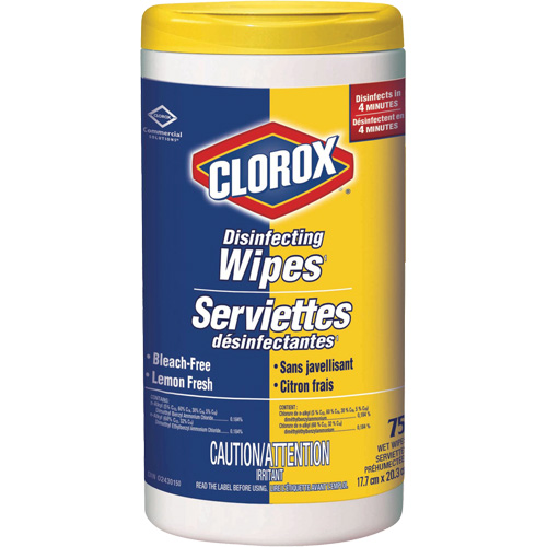 Cleaners & Disinfectants - Disinfecting Wipes, 75 Count Groupe Belzile Dickner