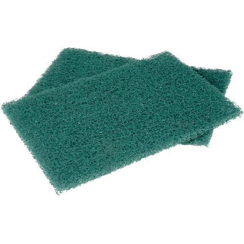 Tampons manuels Scotch-Brite, &agrave; r&eacute;curer, 6" la x 9" l Groupe Belzile Dickner