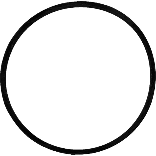 Courroie d'entrainement de rechange pour brosse Groupe Belzile Dickner