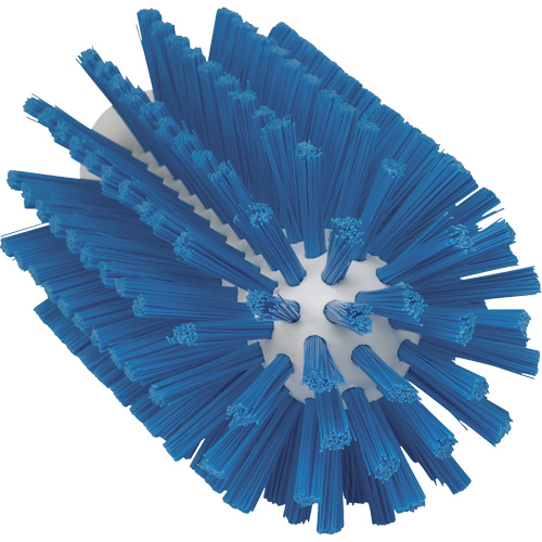 Food Hygiene Brush, Medium Bristles, 6" Long, Blue Groupe Belzile Dickner