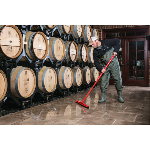 Fixed Head Food Hygiene Floor Squeegee, 20", Green Groupe Belzile Dickner