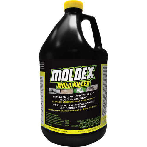 Moldex&reg; Mold Killer, 3.78 L, Jug Groupe Belzile Dickner