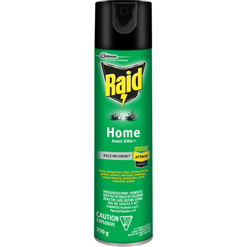 Insecticide pour insectes domestiques Raid, 350 g, &agrave; base de solvant Groupe Belzile Dickner