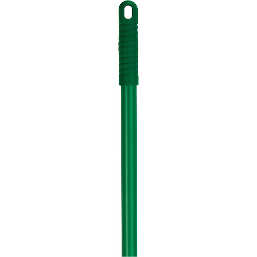 Manche ColorCore, Balai/Grattoir/Raclette, Vert, Standard, 50" lo Groupe Belzile Dickner