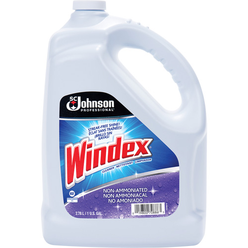 Windex&reg; Non-Ammoniated Multi-Surface Cleaner, 3.8 L, Jug Groupe Belzile Dickner
