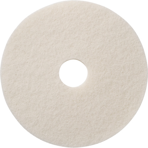 Tampons &agrave; polir pour planchers, 12", Polissage, Blanc Groupe Belzile Dickner