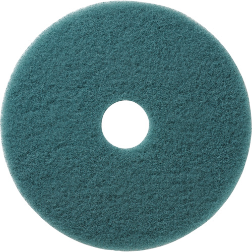 Tampons &agrave; polir pour planchers Aqua, 19", Brunissage, Aqua Groupe Belzile Dickner