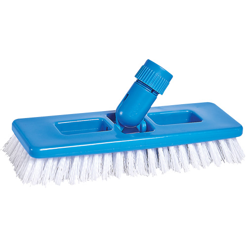 Universal Scrub & Grout Brush, 9" L, Polypropylene Bristles, White Groupe Belzile Dickner