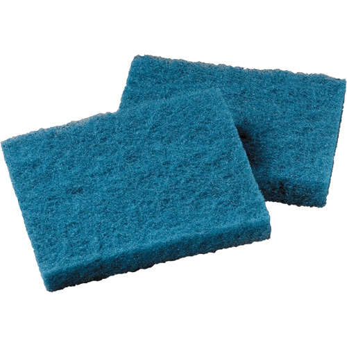 Non-Stick Cookware Cleaning Pad, Scrubbing, 5-1/4" W x 4" L Groupe Belzile Dickner