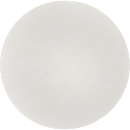Carpet Bonnet Pad, 19", Cleaning, White Groupe Belzile Dickner