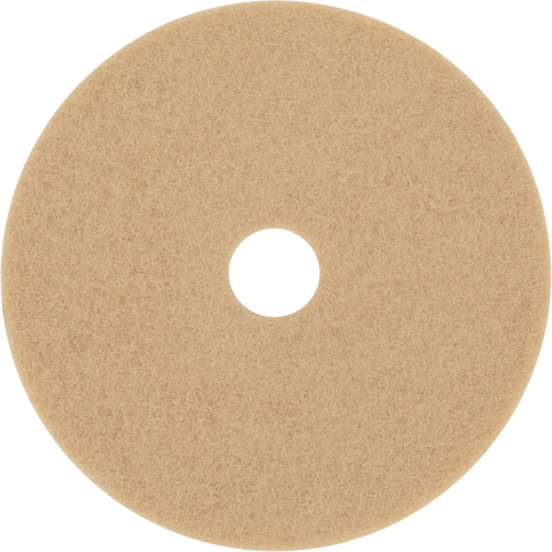 Bande abrasive Trizact Diamond TZ, 20", Brunissage, Beige Groupe Belzile Dickner
